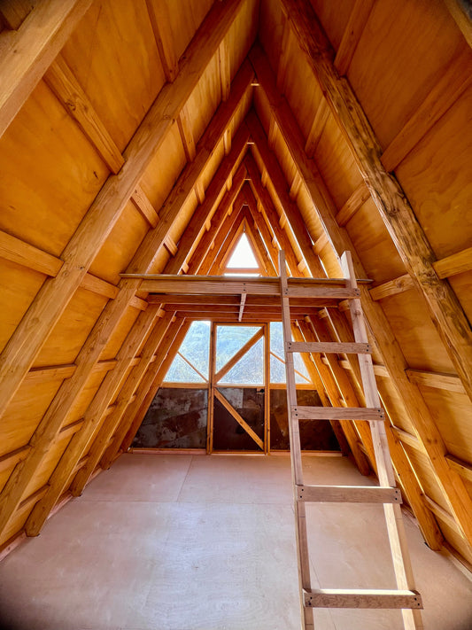 ¿Por qué construir con madera? Reflexiones desde BikiniHouses
