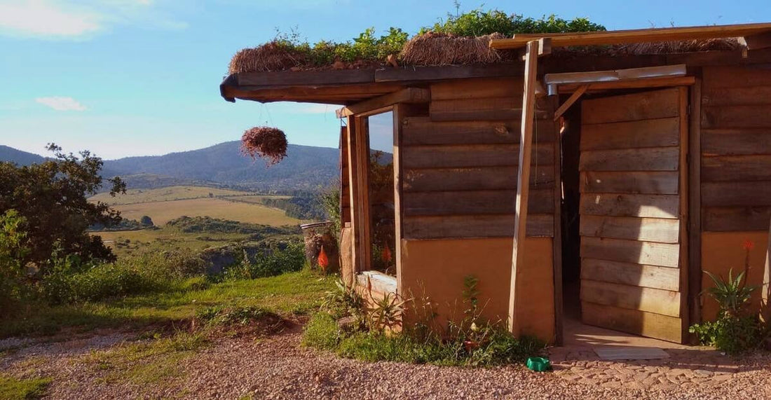 Construye tu cabaña en Jalisco con BikiniHouses – Vive entre montañas, pinos y posibilidades