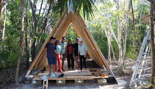 Vivir en la naturaleza sin miedo: Cómo construir en armonía con el entorno y convivir con la fauna