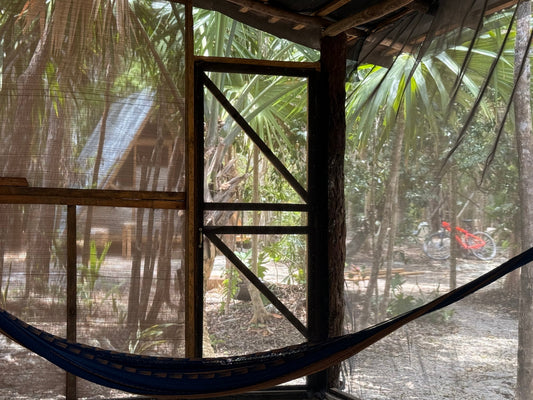 No compré un terreno en la selva para huir del mundo. Lo hice para entenderlo mejor.