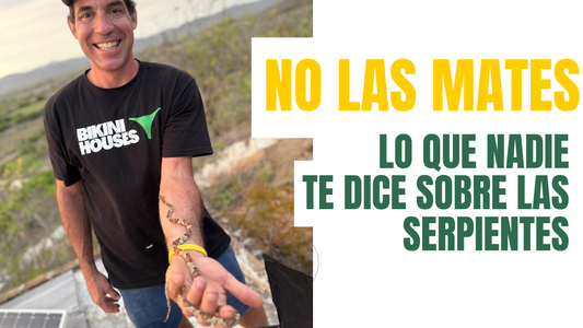 Convivir con la Naturaleza: Lecciones desde la UMA Toloc Kán en Puerto Morelos