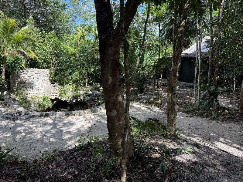 Casita frente cenote Puerto Morelos