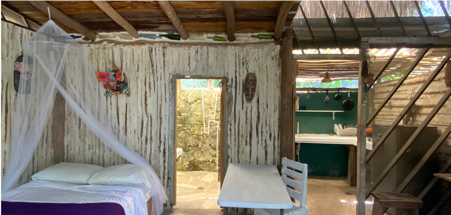 🌿 PROYECTO SUSTENTABLE EN LA SELVA – QUALIA TULUM