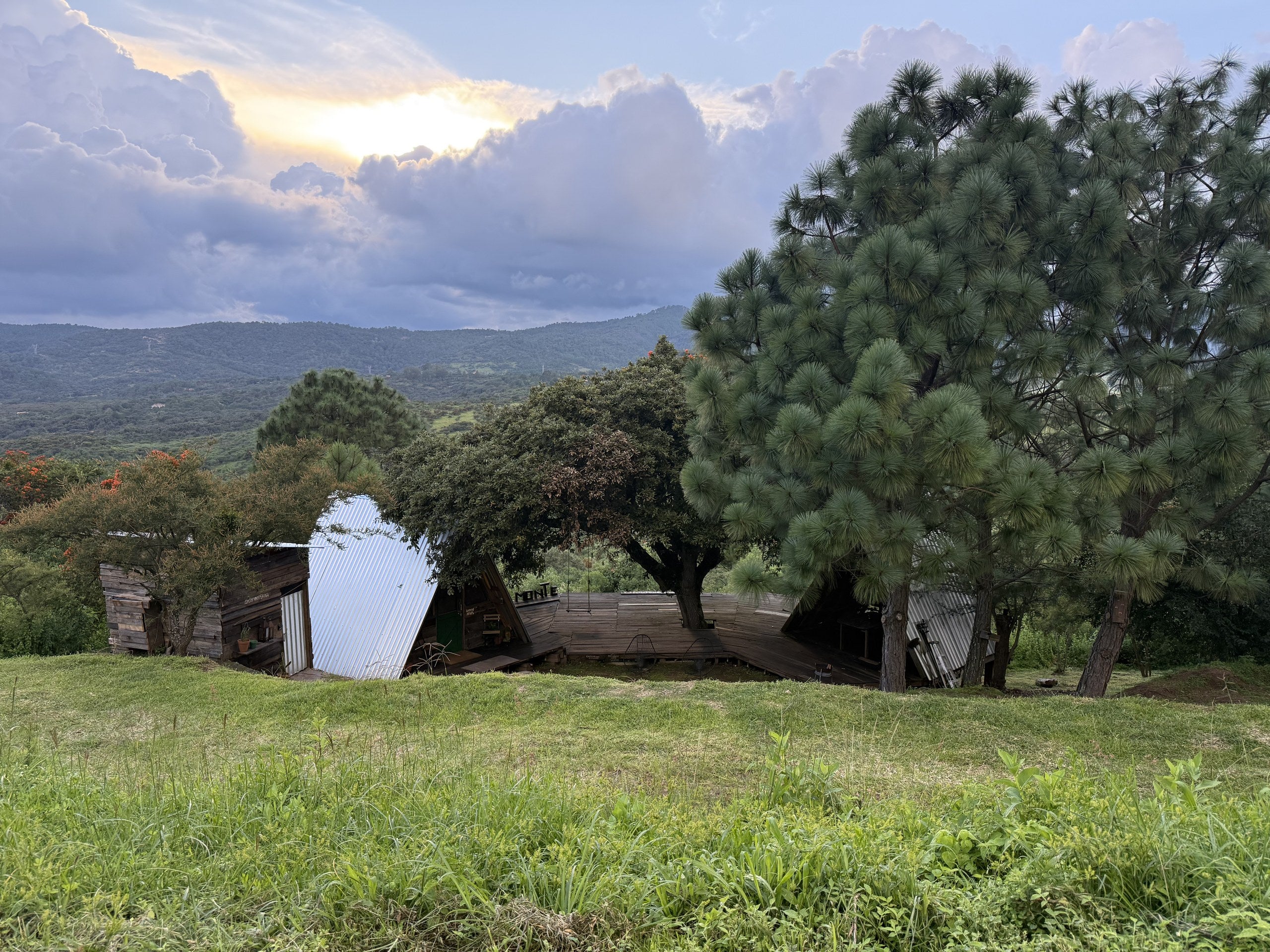 Paisaje del bosque visto desde la A-Frame 12 en Tapalpa