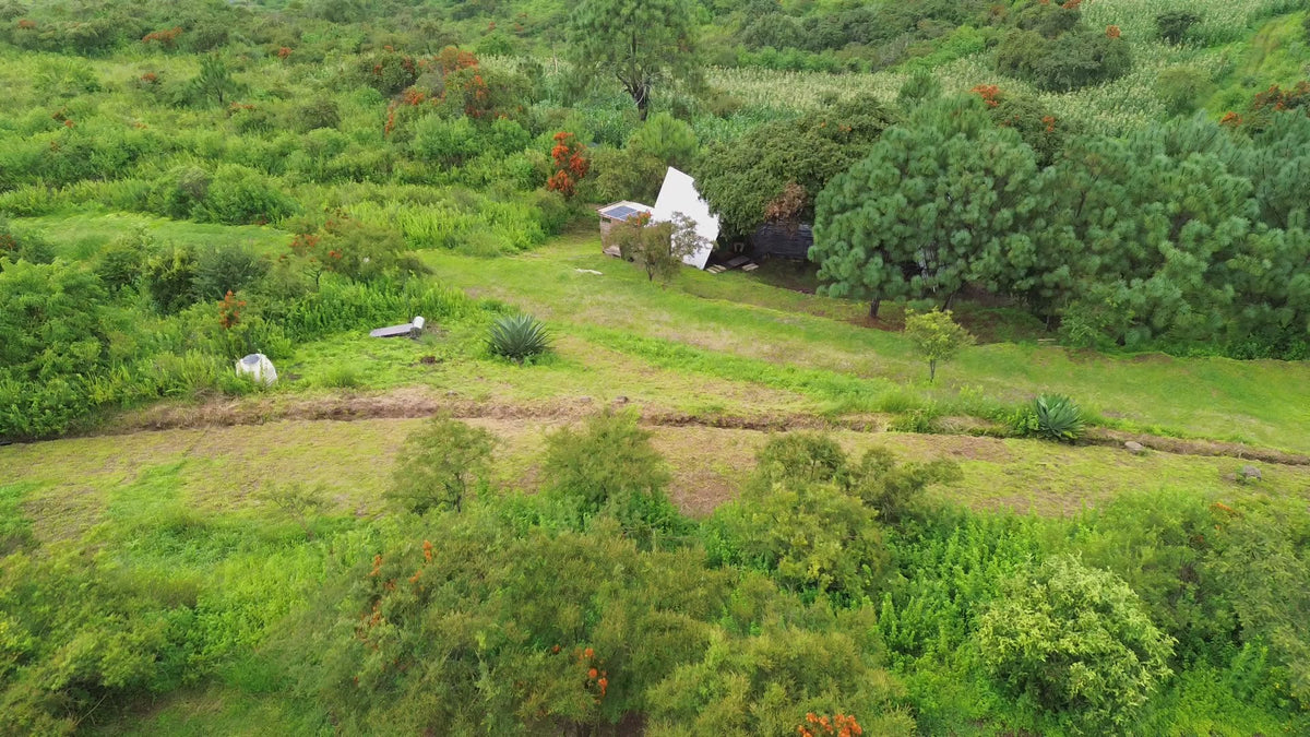 Refugio A-Frame de BikiniHouses en la ladera de Tapalpa, rodeado de vegetación